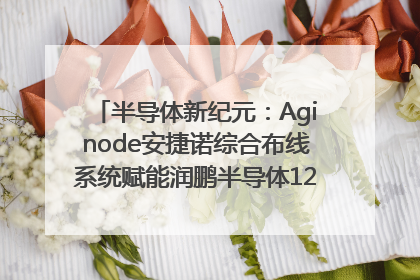 半导体新纪元：Aginode安捷诺综合布线系统赋能润鹏半导体12英寸集成电路生产线，携手共筑“芯”未来！