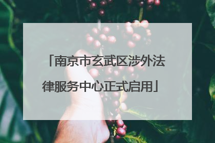 南京市玄武区涉外法律服务中心正式启用