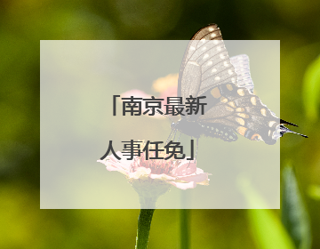 南京最新人事任免