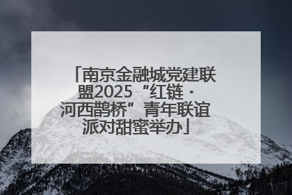 南京金融城党建联盟2025“红链・河西鹊桥”青年联谊派对甜蜜举办