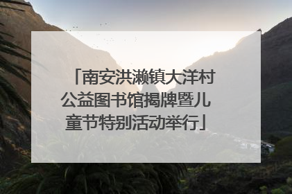 南安洪濑镇大洋村公益图书馆揭牌暨儿童节特别活动举行
