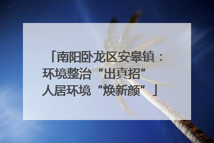南阳卧龙区安皋镇：环境整治“出真招” 人居环境“焕新颜”