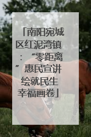 南阳宛城区红泥湾镇：“零距离”惠民宣讲 绘就民生幸福画卷