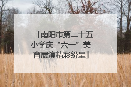 南阳市第二十五小学庆“六一”美育展演精彩纷呈