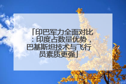 印巴军力全面对比：印度占数量优势，巴基斯坦技术与飞行员素质更强
