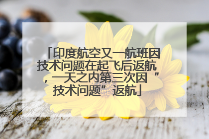 印度航空又一航班因技术问题在起飞后返航，一天之内第三次因“技术问题”返航