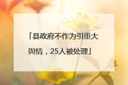县政府不作为引重大舆情，25人被处理