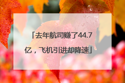去年航司赚了44.7亿，飞机引进却降速