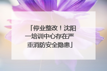 停业整改！沈阳一培训中心存在严重消防安全隐患