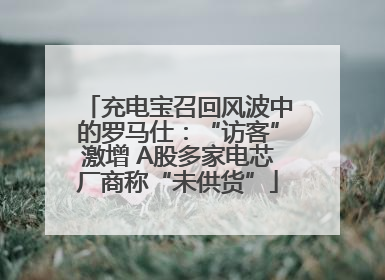 充电宝召回风波中的罗马仕：“访客”激增 A股多家电芯厂商称“未供货”