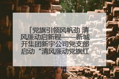 党旗引领风帆劲 清风廉动启新程——新城开集团新宇公司党支部启动“清风廉动党旗红”系列活动