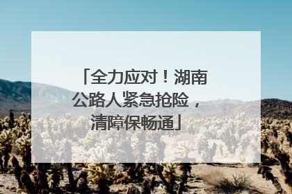 全力应对！湖南公路人紧急抢险，清障保畅通