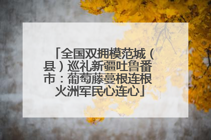 全国双拥模范城（县）巡礼新疆吐鲁番市：葡萄藤蔓根连根 火洲军民心连心