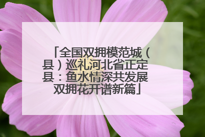 全国双拥模范城（县）巡礼河北省正定县：鱼水情深共发展 双拥花开谱新篇