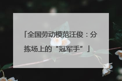 全国劳动模范汪俊：分拣场上的“冠军手”