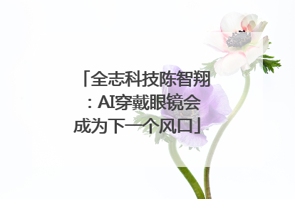 全志科技陈智翔：AI穿戴眼镜会成为下一个风口
