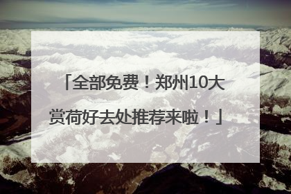 全部免费！郑州10大赏荷好去处推荐来啦！