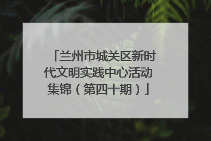 兰州市城关区新时代文明实践中心活动集锦（第四十期）