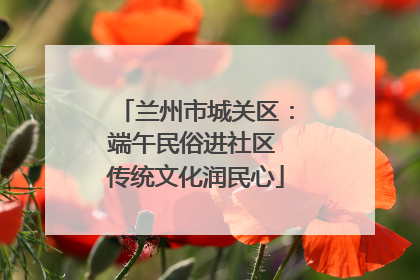 兰州市城关区：端午民俗进社区 传统文化润民心