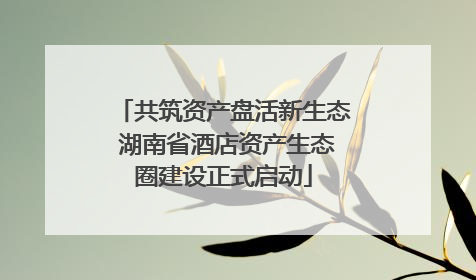 共筑资产盘活新生态 湖南省酒店资产生态圈建设正式启动