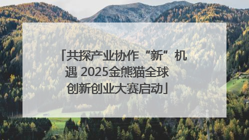 共探产业协作“新”机遇 2025金熊猫全球创新创业大赛启动