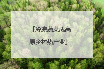 冷凉蔬菜成高原乡村热产业