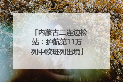 内蒙古二连边检站：护航第11万列中欧班列出境