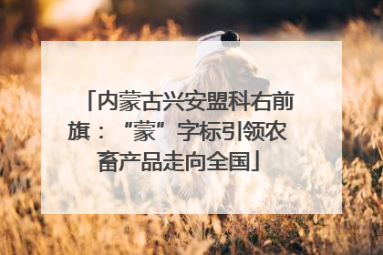 内蒙古兴安盟科右前旗：“蒙”字标引领农畜产品走向全国