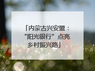 内蒙古兴安盟：“阳光银行”点亮乡村振兴路