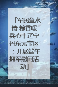 军民鱼水情 粽香暖兵心丨辽宁丹东元宝区：开展端午拥军慰问活动
