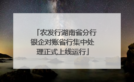 农发行湖南省分行银企对账省行集中处理正式上线运行
