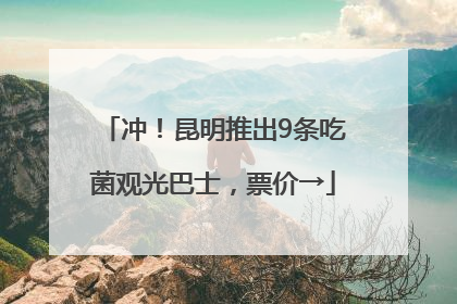 冲！昆明推出9条吃菌观光巴士，票价→