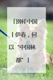 别样中国丨伊春，何以“中国林都”