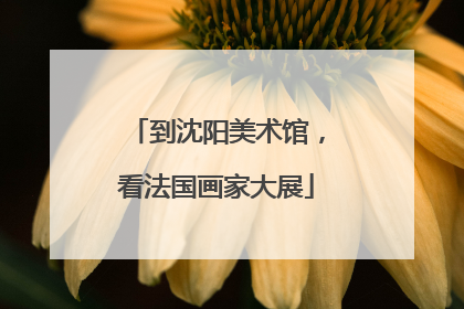 到沈阳美术馆，看法国画家大展