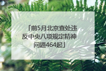 前5月北京查处违反中央八项规定精神问题464起
