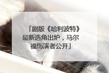 剧版《哈利波特》最新选角出炉，马尔福饰演者公开