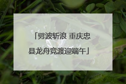 劈波斩浪 重庆忠县龙舟竞渡迎端午