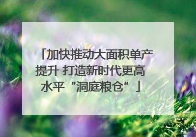 加快推动大面积单产提升 打造新时代更高水平“洞庭粮仓”