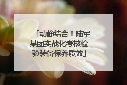 动静结合！陆军某团实战化考核检验装备保养质效