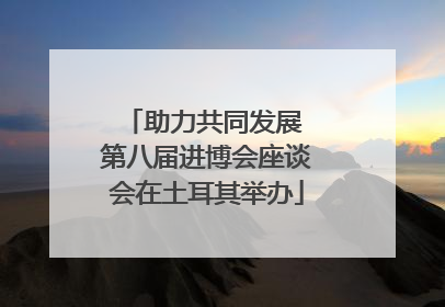 助力共同发展 第八届进博会座谈会在土耳其举办
