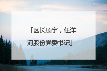 区长顾宇，任洋河股份党委书记
