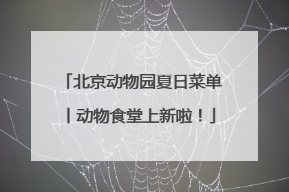 北京动物园夏日菜单丨动物食堂上新啦！
