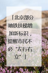 北京部分地铁扶梯增加新标识，提醒市民不必“左行右立”