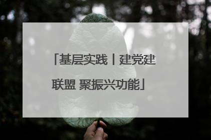 基层实践丨建党建联盟 聚振兴功能