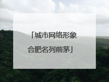 城市网络形象合肥名列前茅