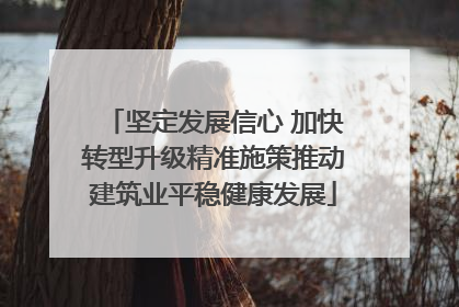 坚定发展信心 加快转型升级精准施策推动建筑业平稳健康发展