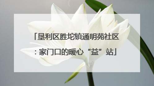 垦利区胜坨镇通明苑社区：家门口的暖心“益”站