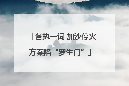 各执一词 加沙停火方案陷“罗生门”