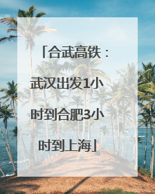 合武高铁：武汉出发1小时到合肥3小时到上海