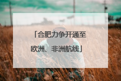 合肥力争开通至欧洲、非洲航线